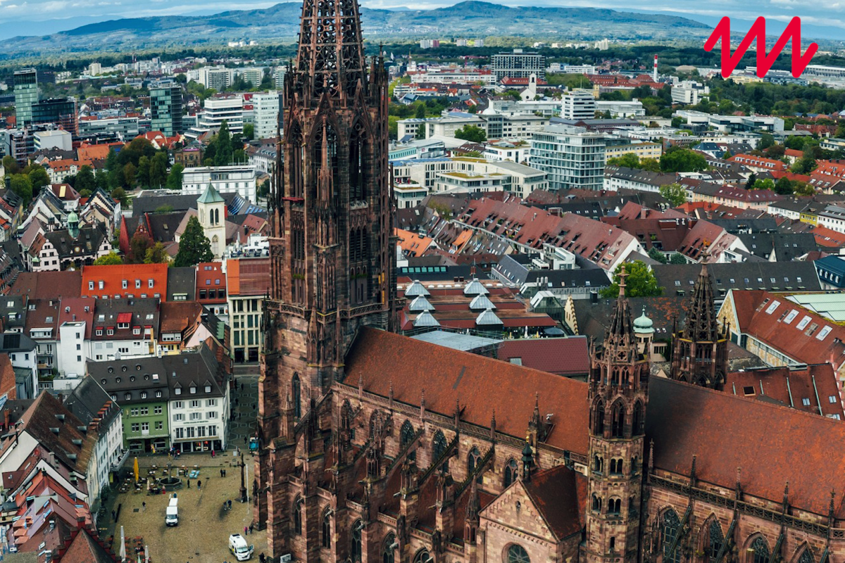 Das Freiburger Münster